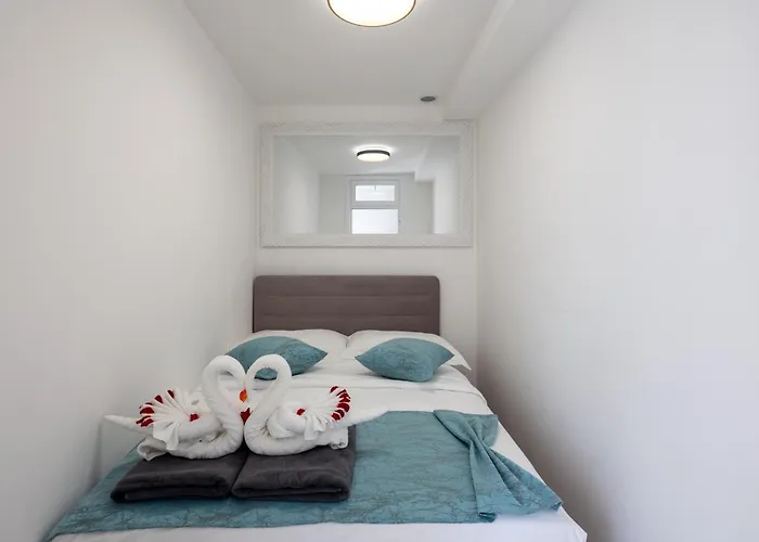 Vipo Seget 돈지세케트